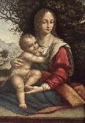 Cesare da Sesto Madonna and Child oil on canvas